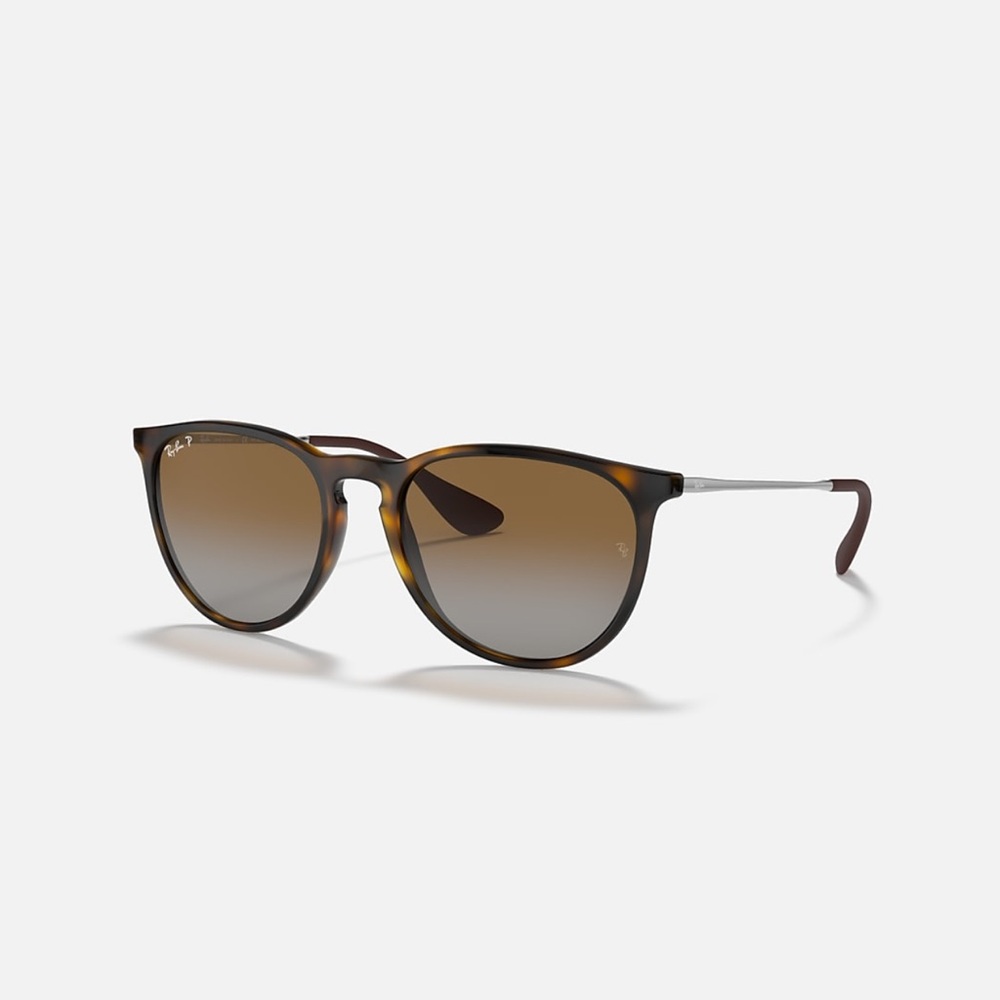 NWT Ray-Ban Sunglasses Erika Classic Brown